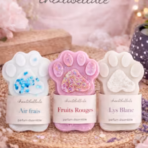 Découvrez nos fondants parfumés. Ce parfum transformera véritablement l’atmosphère de votre maison.