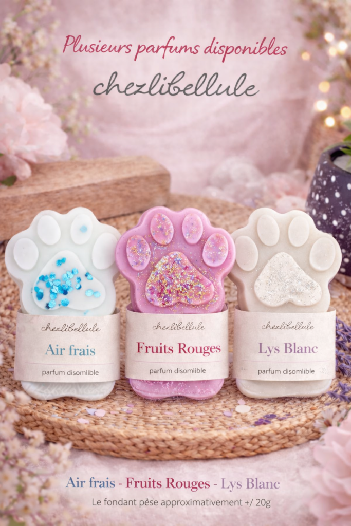 Découvrez nos fondants parfumés. Ce parfum transformera véritablement l’atmosphère de votre maison.